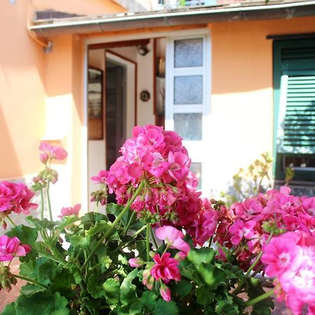 Primario Apartment เลวานโต ภายนอก รูปภาพ